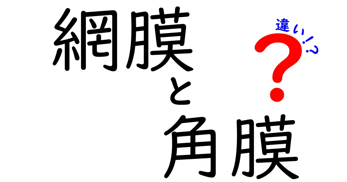 網膜と角膜の違いとは?目の仕組みをわかりやすく解説!