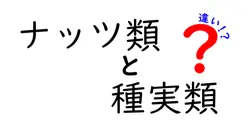 ナッツ類と種実類の違いとは？簡単解説で見分け方がすぐにわかる！