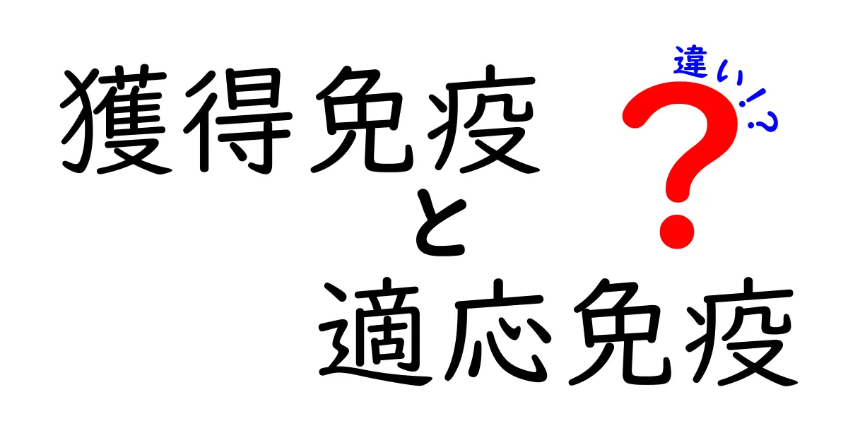 獲得免疫と適応免疫の違いを徹底解説!中学生にも分かる免疫のしくみ
