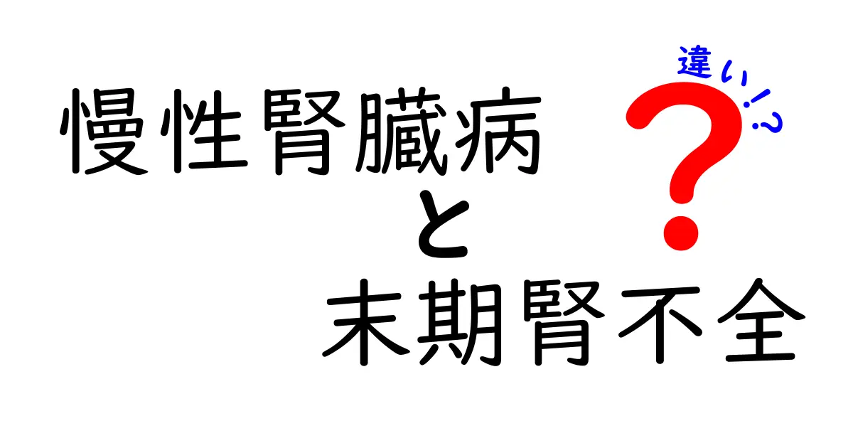 慢性腎臓病と末期腎不全の違いをわかりやすく解説します：CKDとESRDの本当の差とは