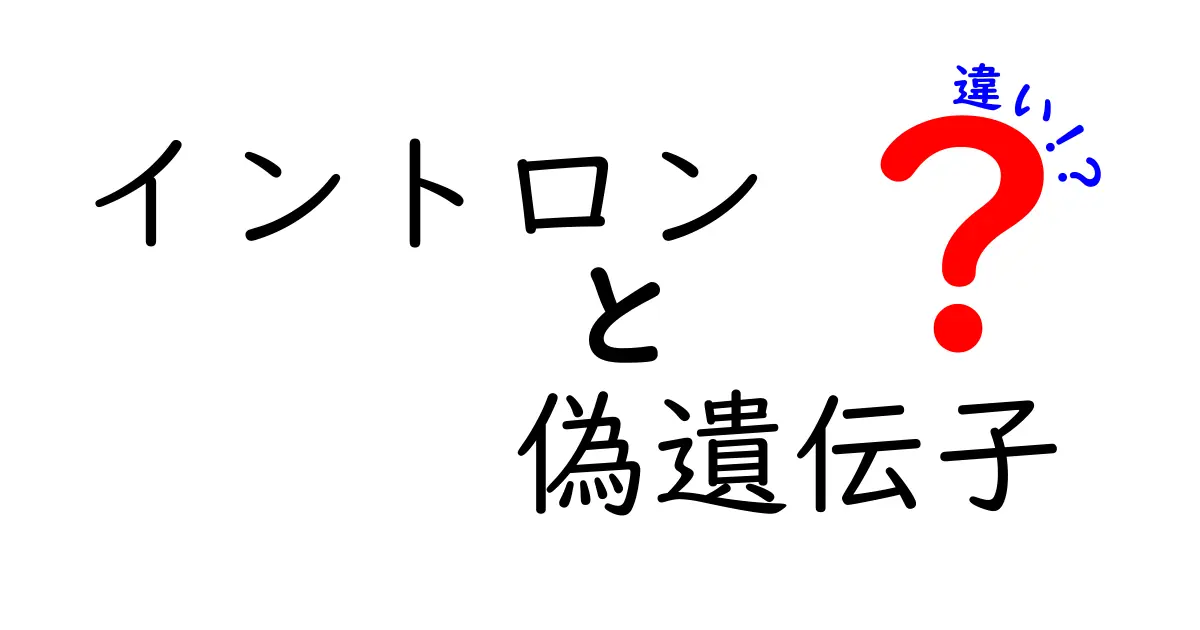 【最新解説】イントロンと偽遺伝子の違いとは?子どもにもわかる簡単図解
