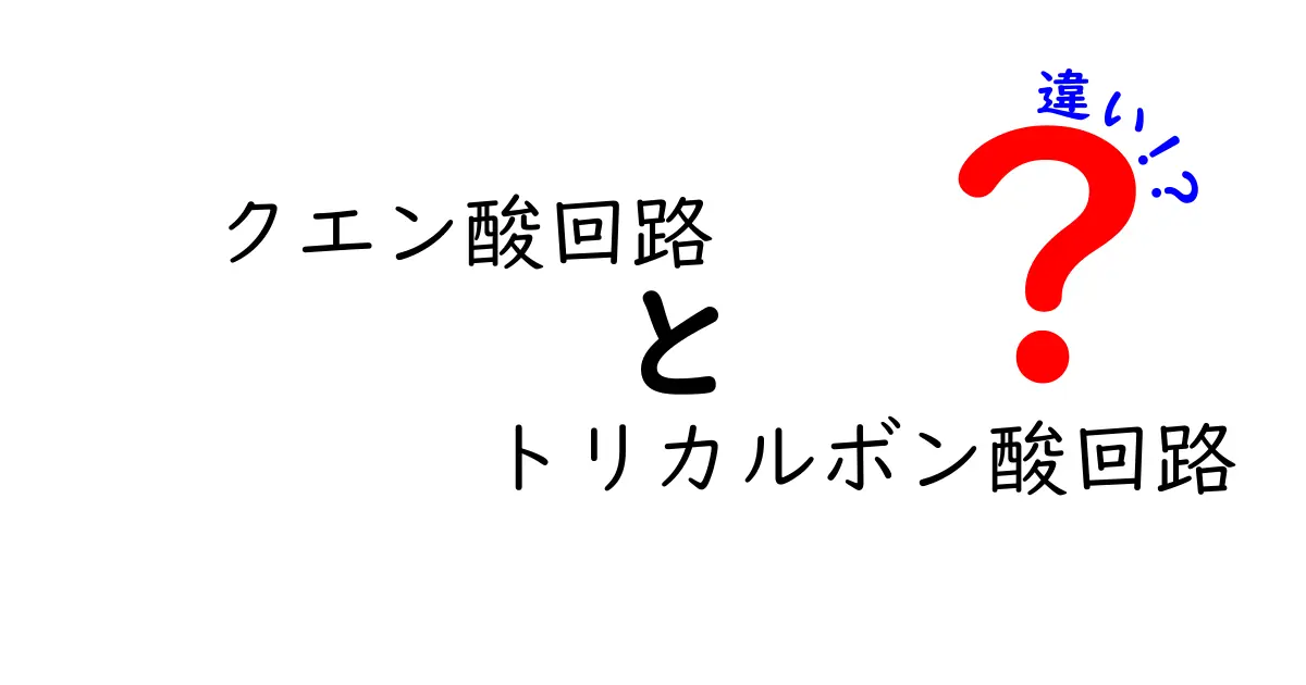 クエン酸回路とトリカルボン酸回路の違いを徹底解説|中学生にもわかる比較ガイド