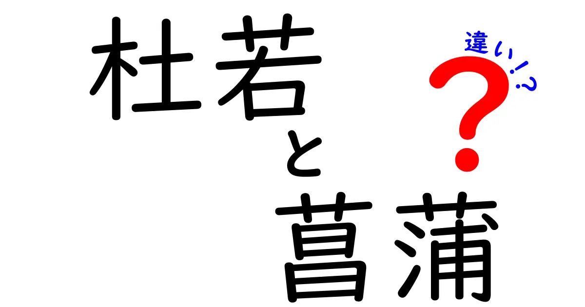 杜若と菖蒲の違いを一目で理解する完全ガイド
