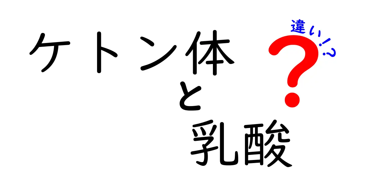 ケトン体と乳酸の違いを徹底解説!体のエネルギー源はどっち?中学生にも分かるやさしい説明