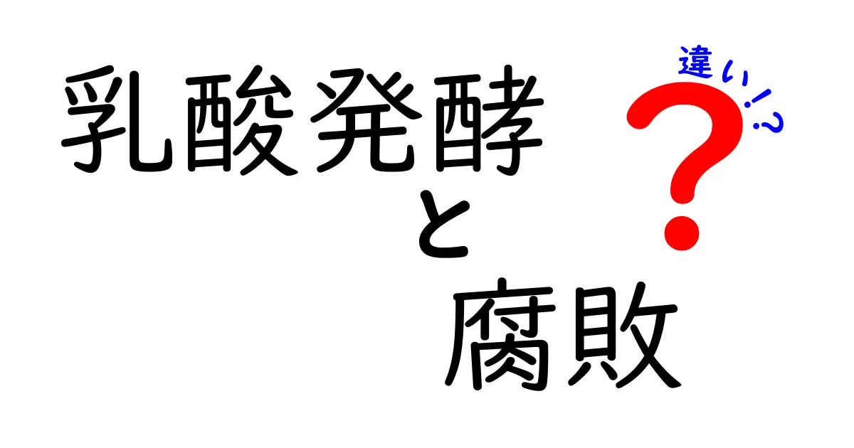 乳酸発酵と腐敗の違いをわかりやすく解説!安全と風味の境界を知ろう