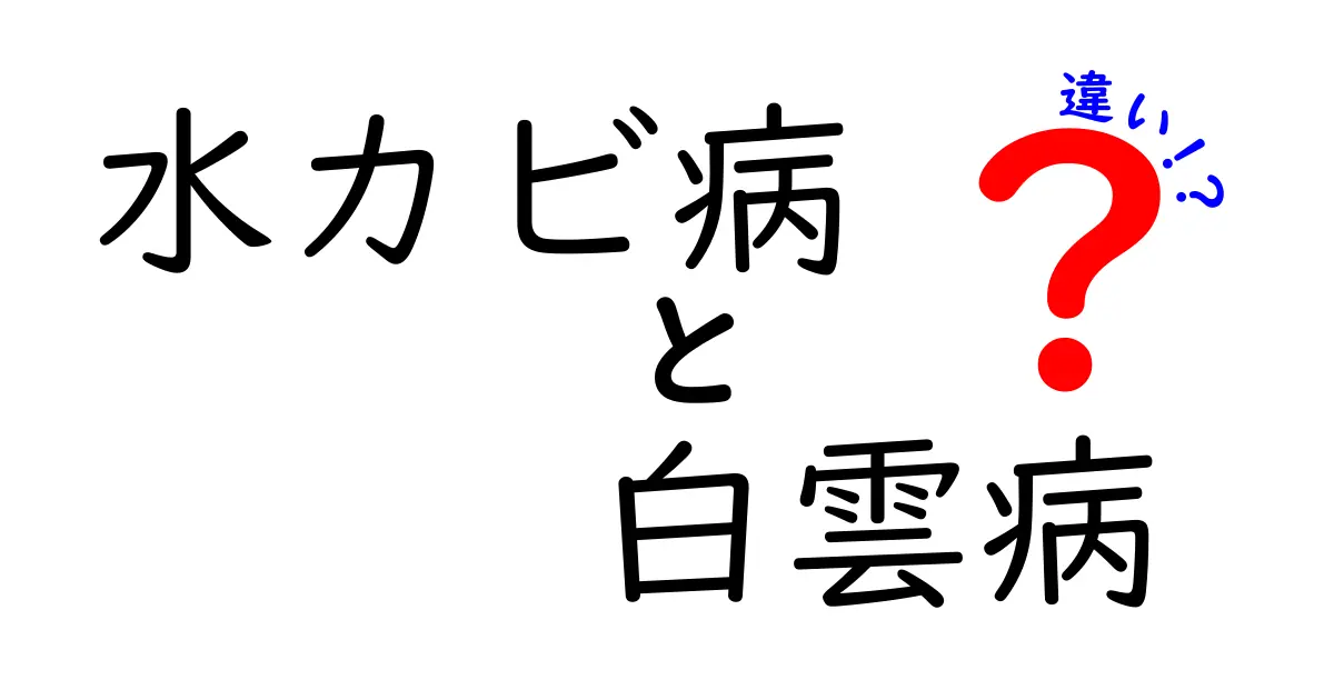 水カビ病と白雲病の違いを徹底解説!原因・症状・治療・予防を分かりやすく比較