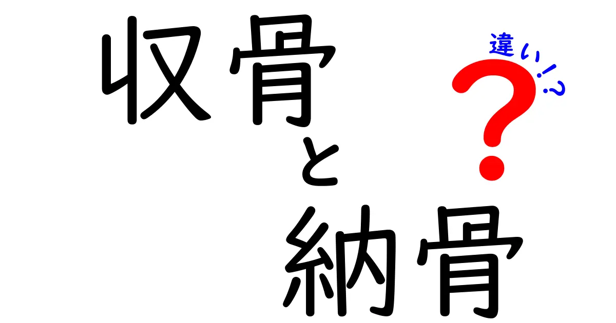 収骨　納骨　違いを徹底解説！中学生にも分かるやさしいポイントと流れ