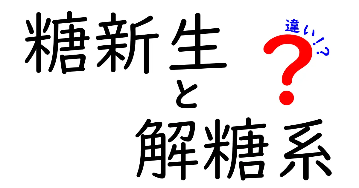 糖新生と解糖系の違いを完全に解く:中学生にもわかる体内エネルギーの道のり