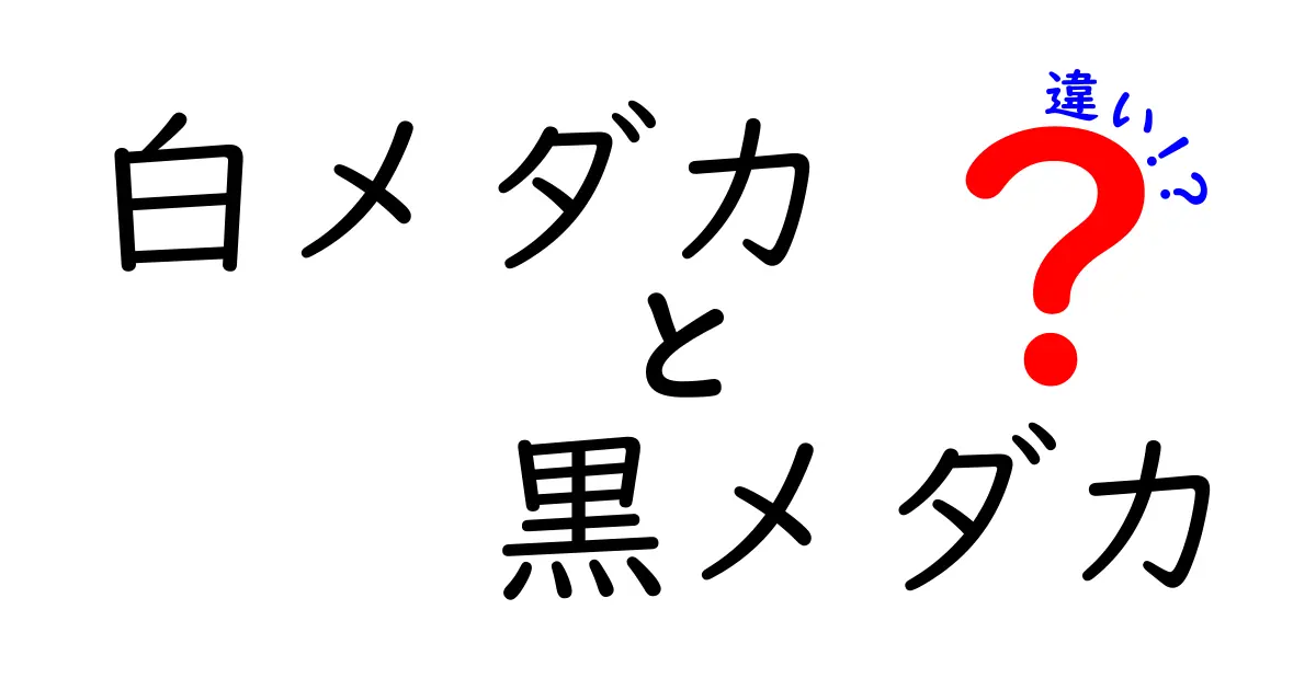 白メダカと黒メダカの違いを徹底解説!見た目・性質・飼い方のポイントをわかりやすく