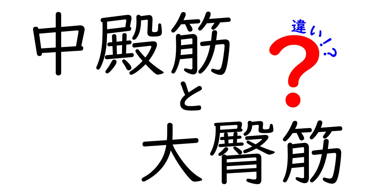中殿筋と大臀筋の違いを徹底解説!役割・痛み対策・日常動作への影響