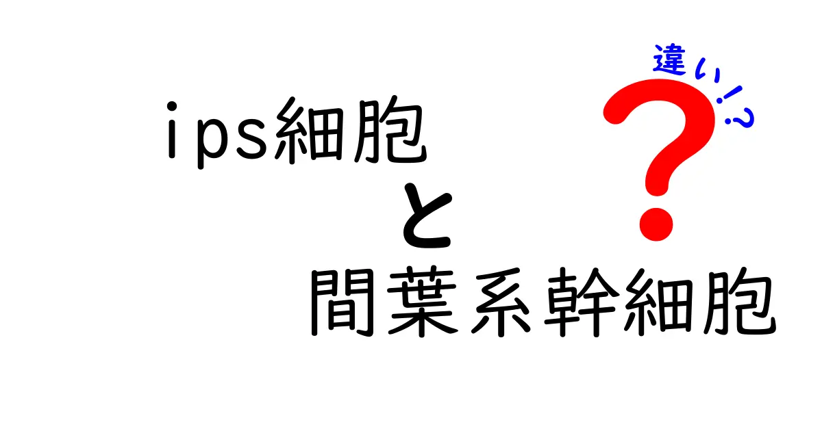 IPS細胞と間葉系幹細胞の違いを徹底解説:中学生にも分かるやさしいポイント