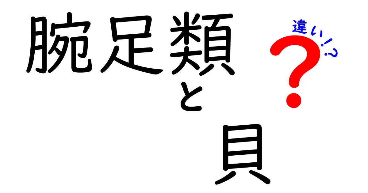 腕足類と貝の違いを徹底解説！中学生にも分かる腕足類の正体と貝の本質