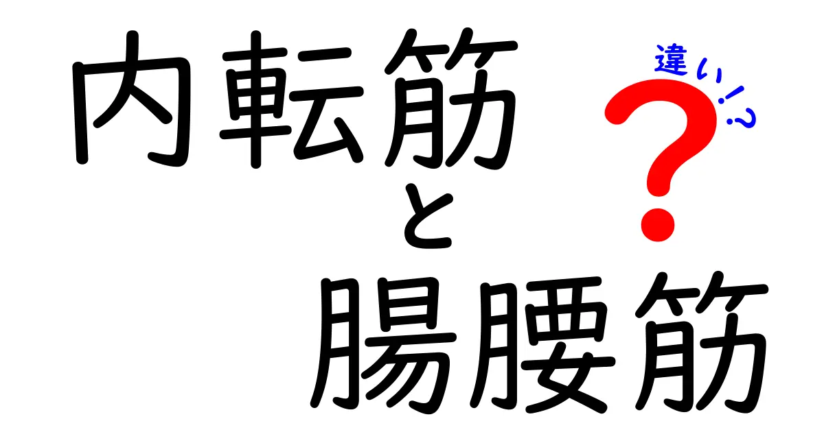 内転筋と腸腰筋の違いを徹底解説—スポーツ動作を改善する鍵の筋肉を見分けよう