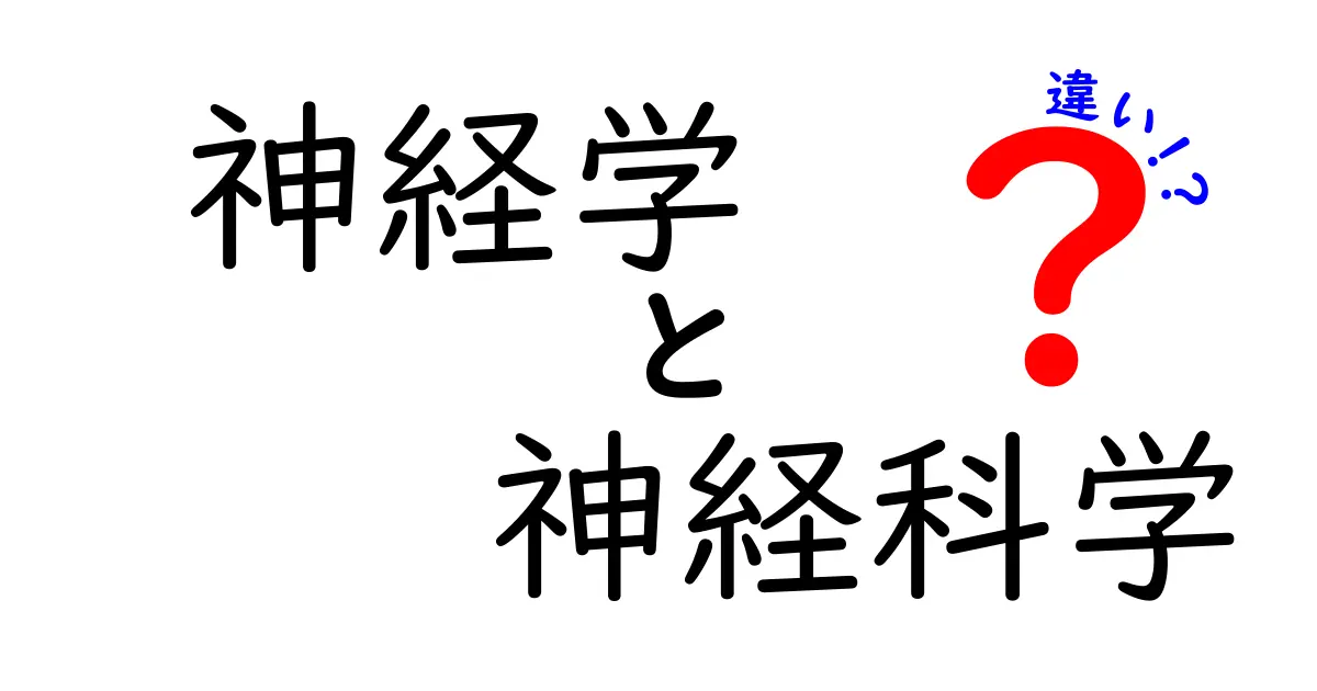 神経学と神経科学の違いを徹底解説!中学生にもわかるポイントと日常の例