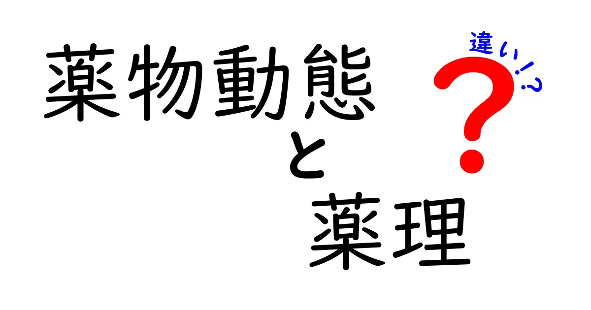 薬物動態と薬理の違いを徹底解説!中学生にも分かる図解と実例