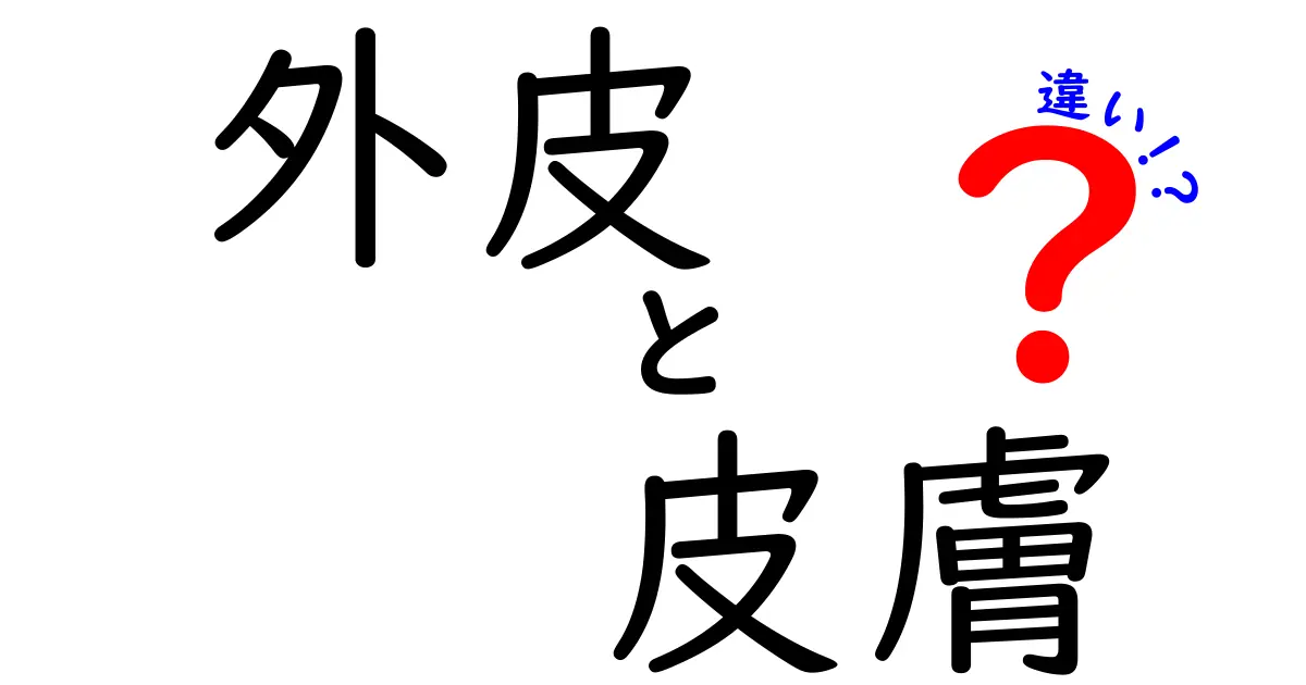 外皮と皮膚の違いを徹底解説!表皮・真皮・皮下組織の役割を中学生にもわかりやすく