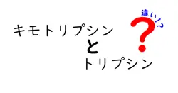 キモトリプシンとトリプシンの違いを徹底解説！消化酵素の謎を解く