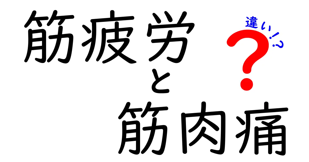 筋疲労と筋肉痛の違いがすぐ分かる!原因から回復法まで徹底解説