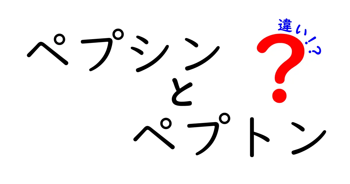 ペプシン ペプトン 違いを徹底解説!タンパク質分解のしくみを中学生にもわかりやすく学ぶ長編ガイド