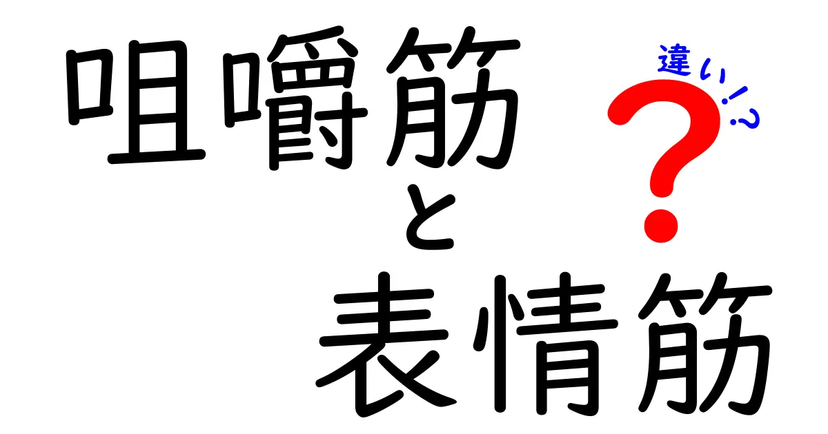 咀嚼筋と表情筋の違いを徹底解説:顔の動きを理解する3つのポイント