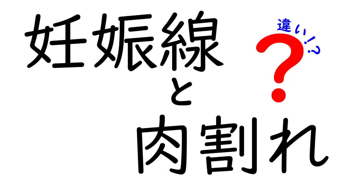妊娠線と肉割れの違いを徹底解説!見分け方と予防のコツを一挙公開