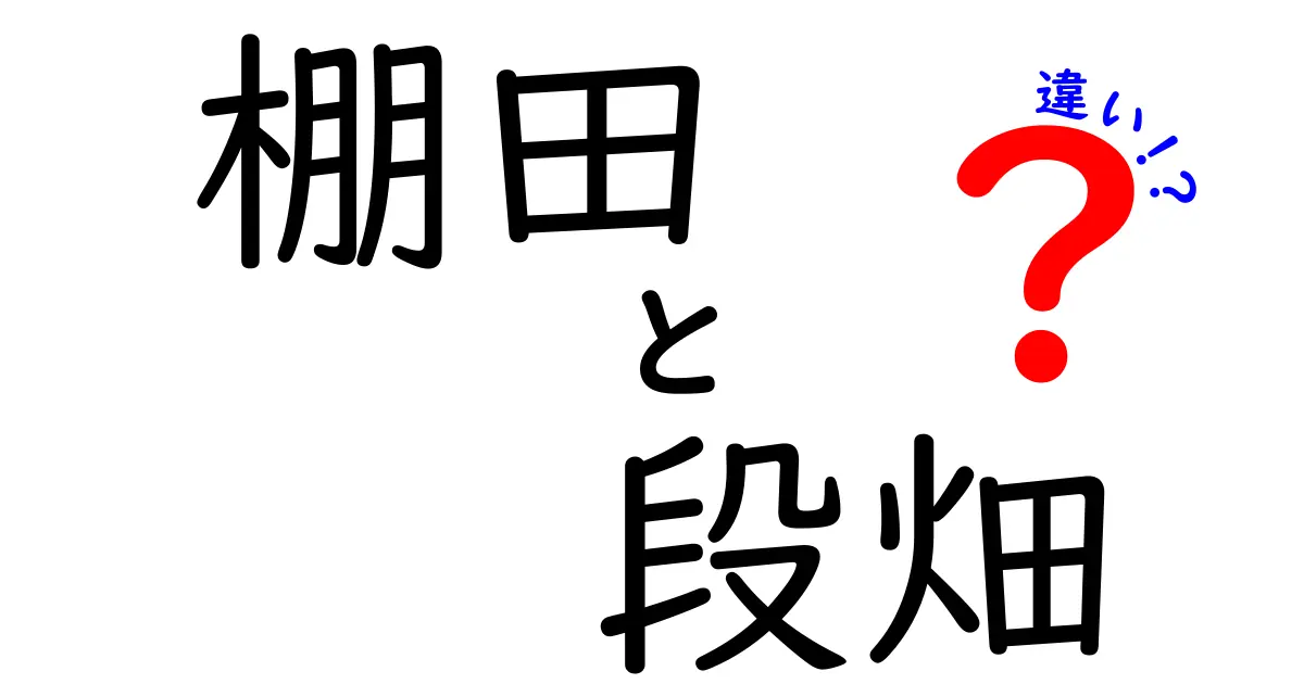 棚田と段畑の違いを中学生にもわかる!地形と技術の秘密を徹底解説