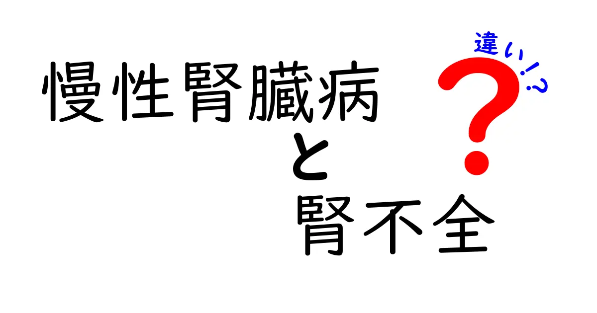慢性腎臓病と腎不全の違いをわかりやすく解説—何が違い、どう判断する?