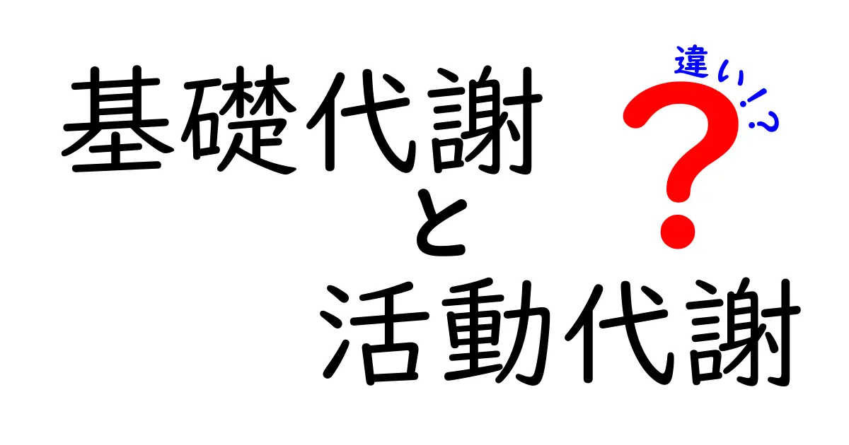 基礎代謝と活動代謝の違いを徹底解説|理解が深まる2つのエネルギーの話