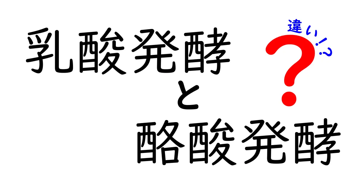 乳酸発酵と酪酸発酵の違いを徹底解説!中学生にも分かるやさしい比較ガイド