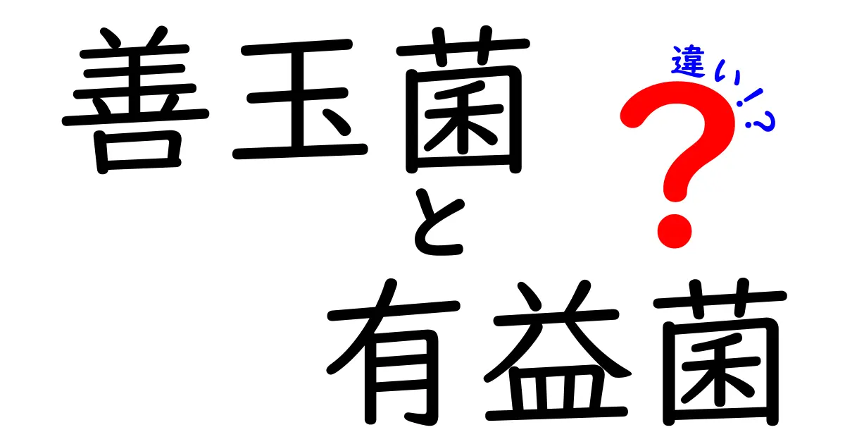 善玉菌と有益菌の違いがすぐ分かる！腸活初心者のための正しい解説ガイド