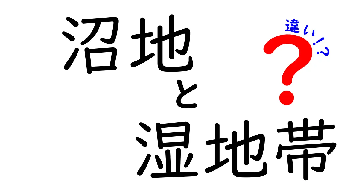 沼地と湿地帯の違いを徹底解説!中学生にもわかる図解つきガイド