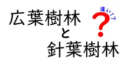 広葉樹林と針葉樹林の違いをわかりやすく解く完全ガイド｜見分け方と生態の秘密