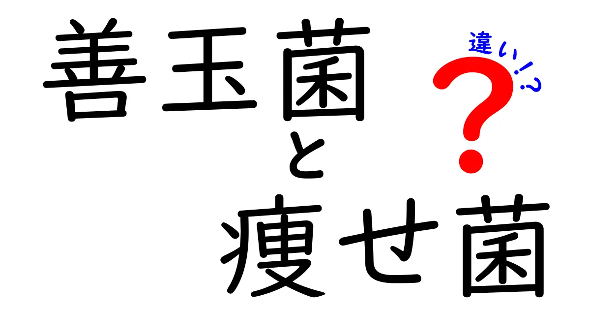 善玉菌と痩せ菌の違いを徹底解説！中学生にもわかる腸活の新常識