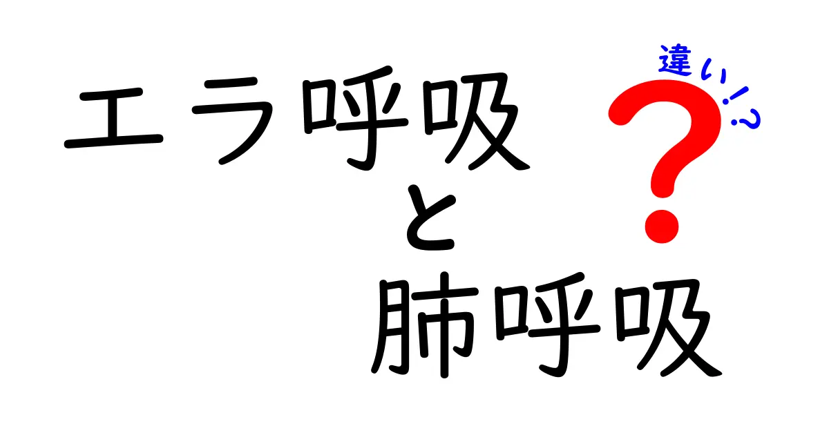 エラ呼吸と肺呼吸の違いを徹底解説:水中と陸上の呼吸のしくみをやさしく学ぶ