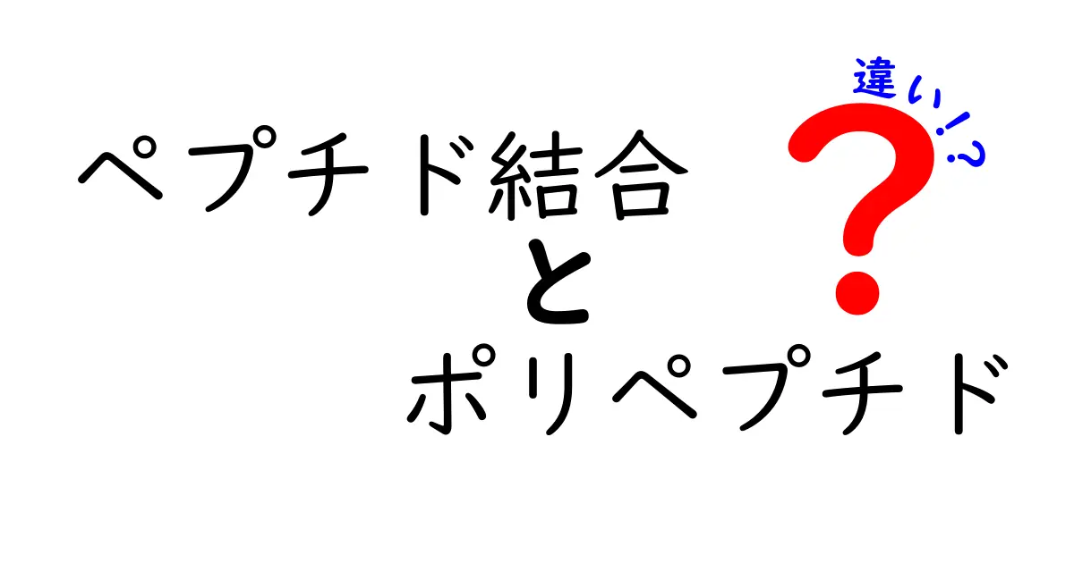 ペプチド結合とポリペプチドの違いを徹底解説!中学生にも分かる図解つき