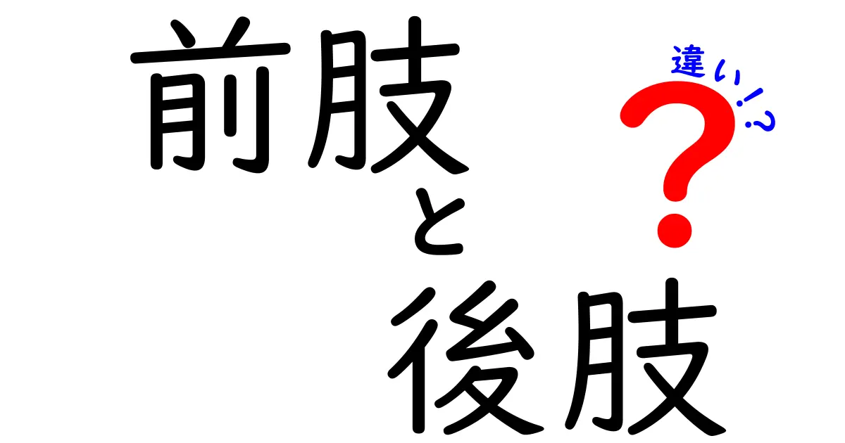 前肢と後肢の違いを徹底解説!人間と動物の使い分けをわかりやすく解明