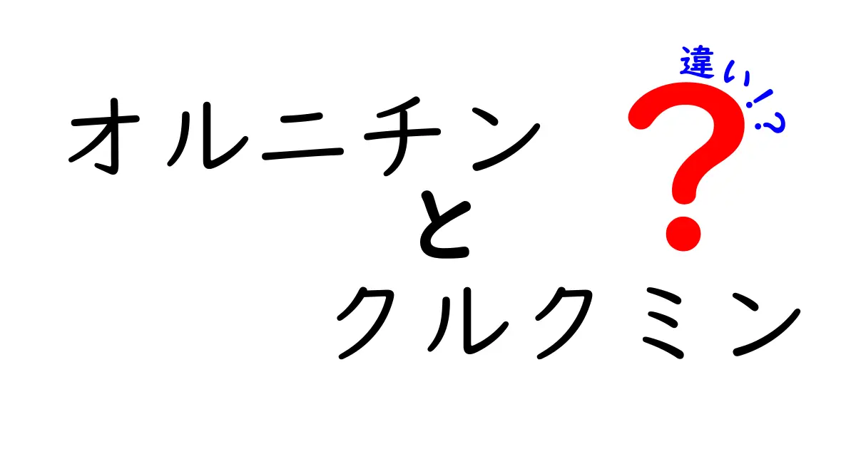 オルニチンとクルクミンの違いをわかりやすく解説|どちらを選ぶべき?