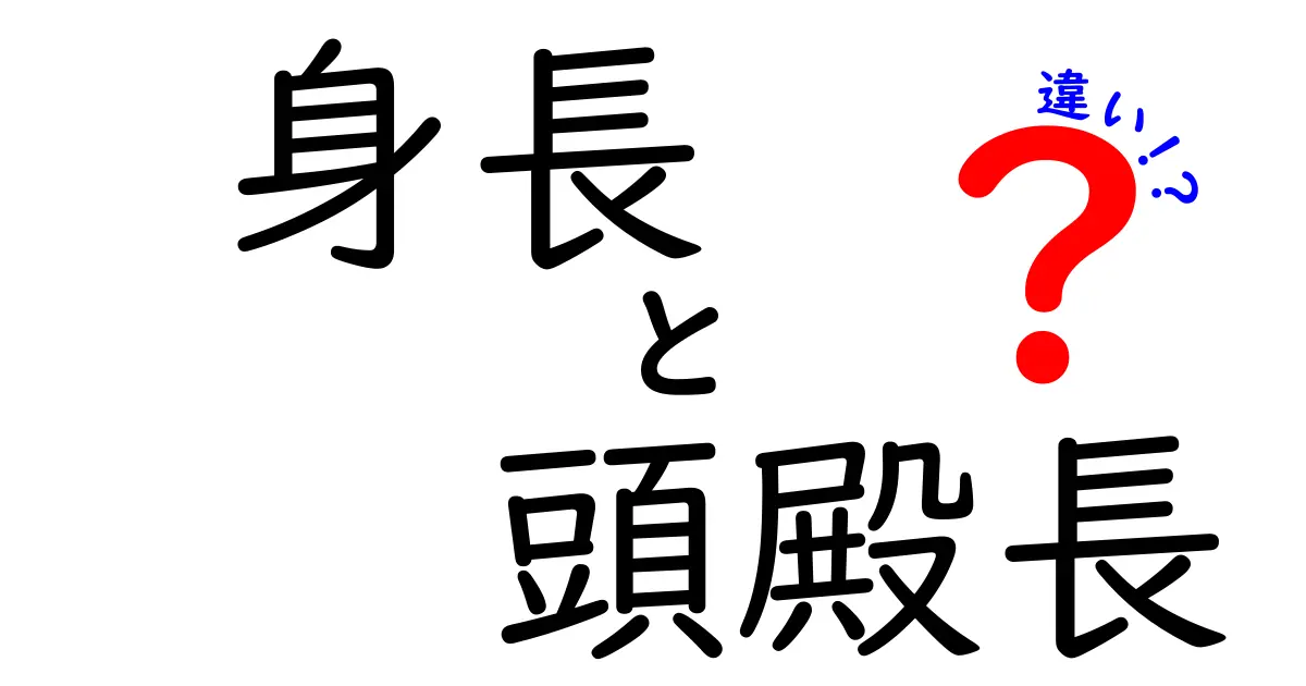 身長と頭殿長の違いを徹底解説！中学生にも伝わるやさしい図解つき