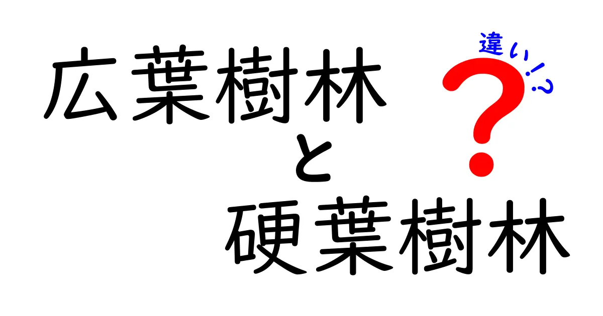 広葉樹林と硬葉樹林の違いを徹底解説！見分け方と生態の秘密