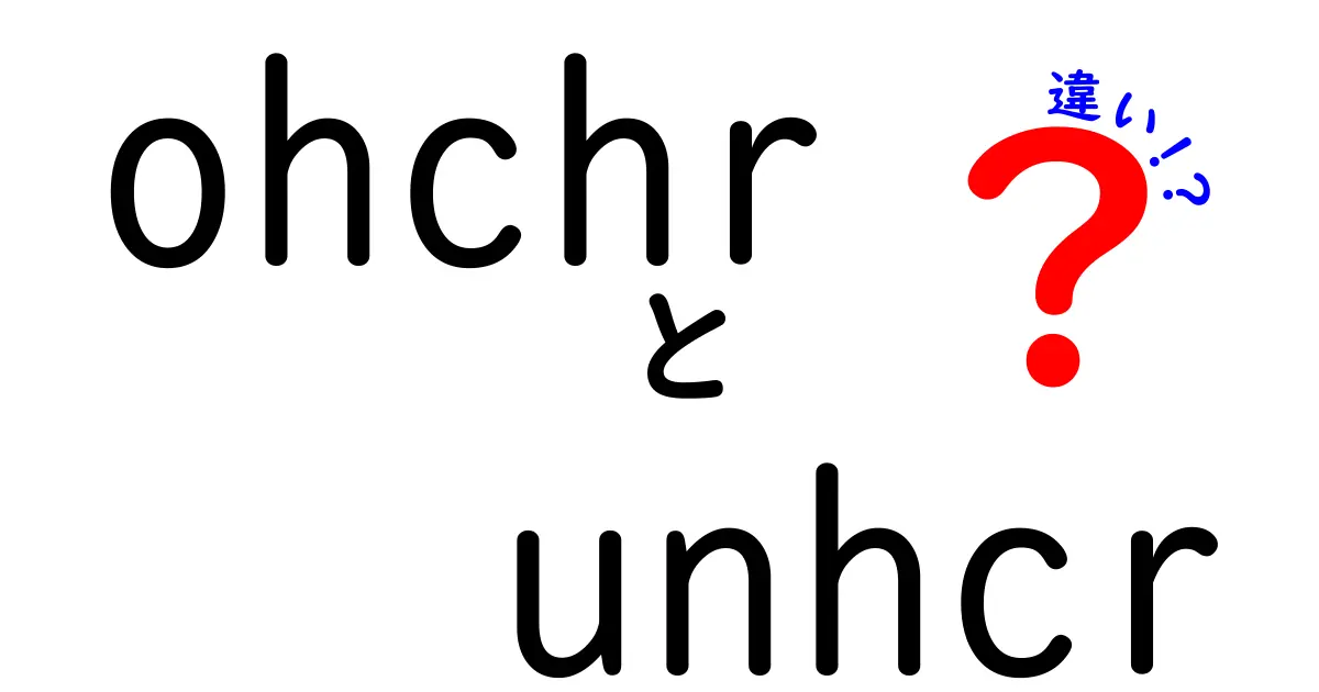 ohchrとunhcrの違いを徹底解説!誰にでも分かるポイントと役割の比較ガイド