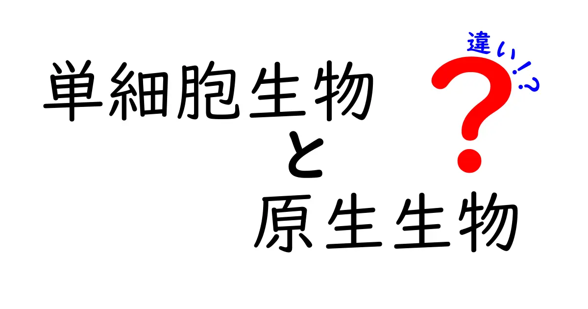 単細胞生物と原生生物の違いを徹底解説!中学生にもわかる図解つき