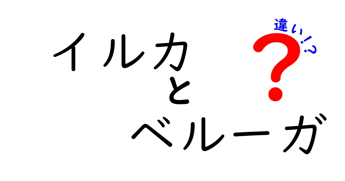 イルカとベルーガの違いを徹底解説!見分け方と生態、鳴き声まで