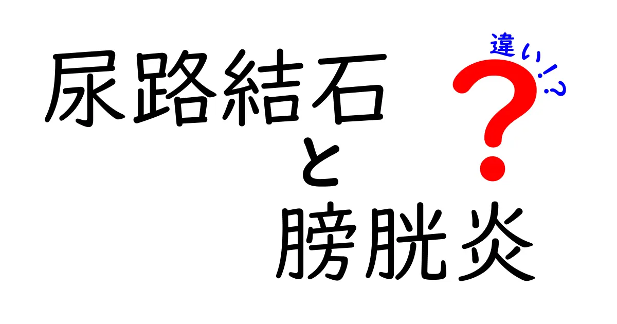 尿路結石と膀胱炎の違いをわかりやすく解説！痛み方・検査・治療のポイントをひと目で比較