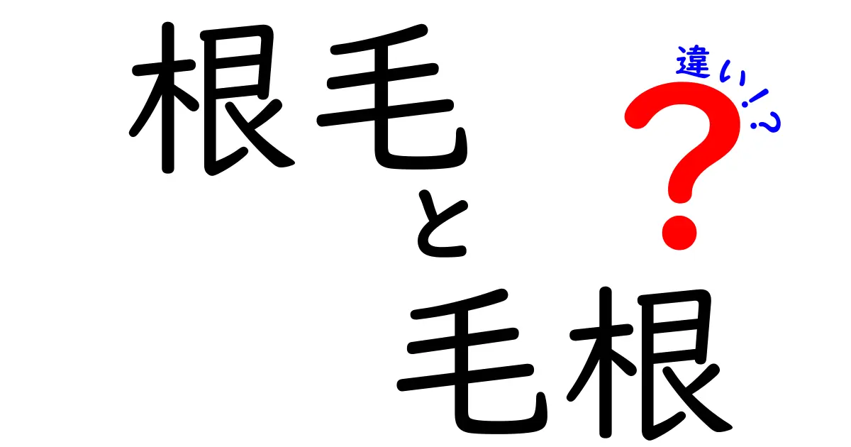 根毛と毛根の違いを完全解説!中学生にもわかる図解つき