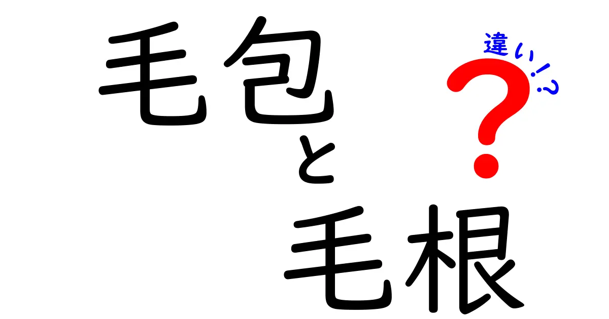 毛包と毛根の違いを徹底解説 中学生にもわかる髪のしくみ