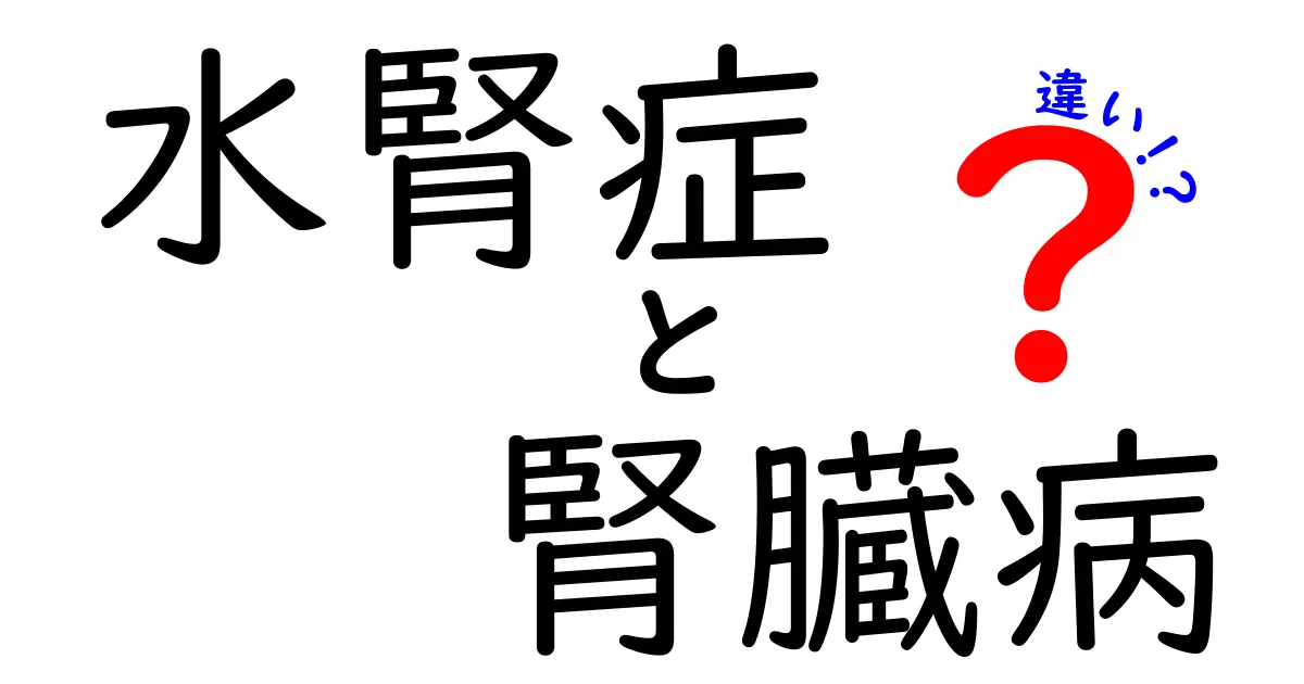 水腎症と腎臓病の違いを徹底解説!原因・症状・治療を中学生にも分かりやすく