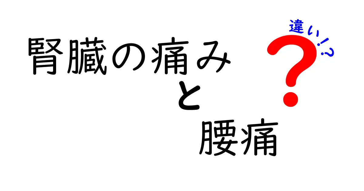 腎臓の痛みと腰痛の違いを徹底解説!見分け方と緊急サインを知ろう
