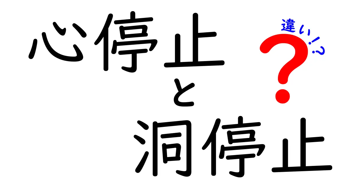 心停止と洞停止の違いがすぐ分かる!中学生にも伝わるやさしい解説