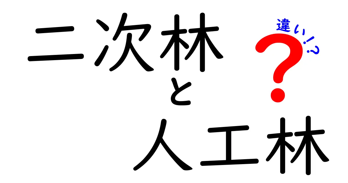 二次林と人工林の違いを徹底解説！森林の未来を左右する“二つの林”の本当の姿