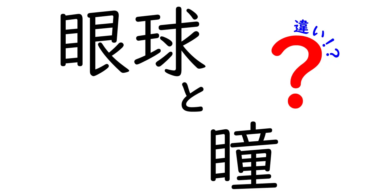 眼球と瞳の違いを徹底解説!中学生にもわかる図解つきのやさしいガイド